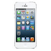 Apple iPhone 5 16Gb white - Похвистнево